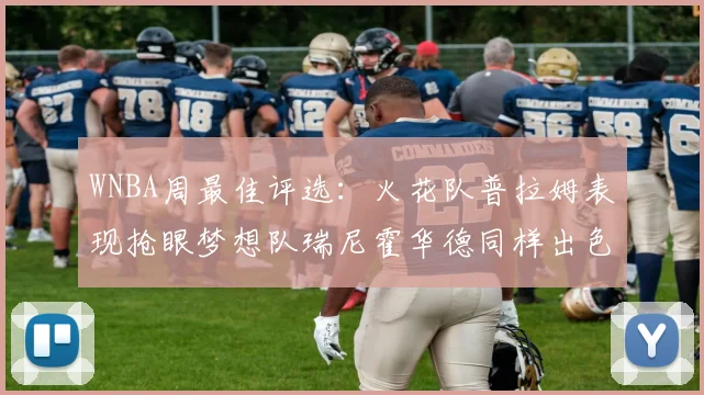 WNBA周最佳评选：火花队普拉姆表现抢眼梦想队瑞尼霍华德同样出色