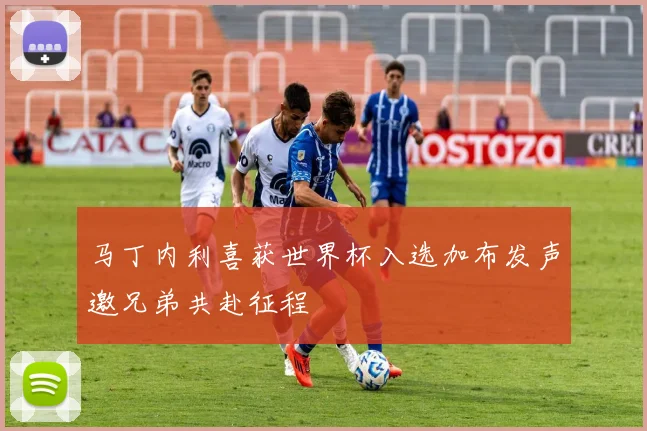 马丁内利喜获世界杯入选加布发声邀兄弟共赴征程